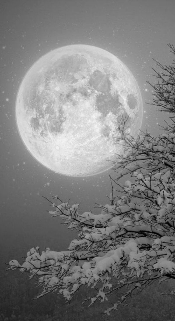 f6096bde7a5b5cbf556ccb5528edbe46--pale-moon-the-winter
